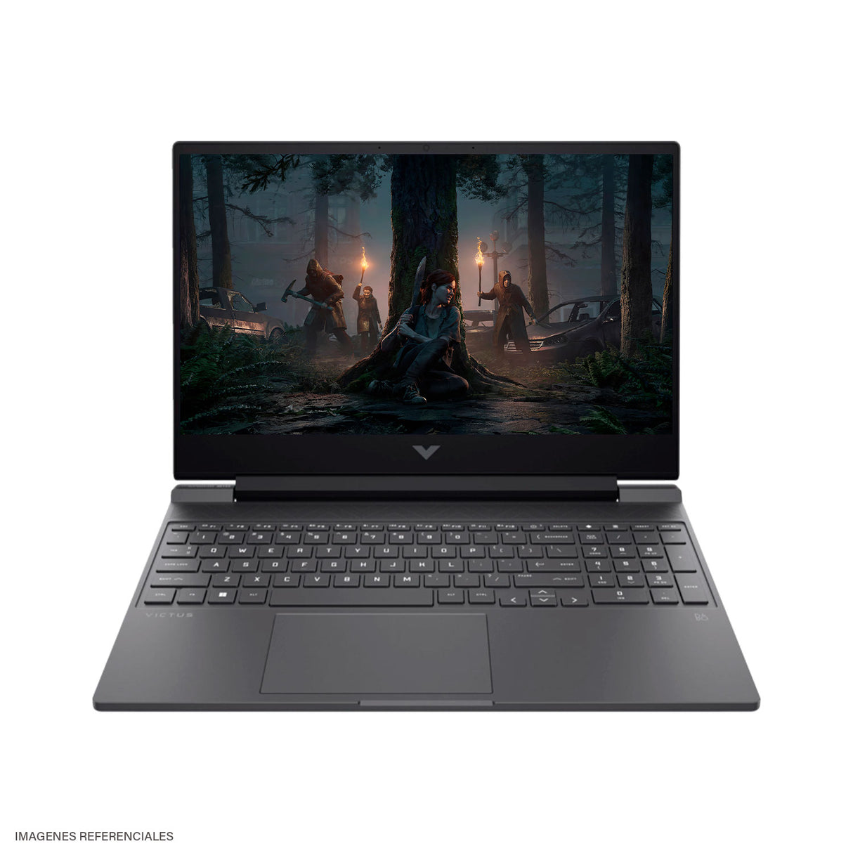 Laptop HP Victus 15-FB3001NR Ryzen 7 IA 350 Ram 16GB Disco 1TB SSD Video NVIDIA RTX 5060 8GB 15.6" FHD Windows 11 (BG7Y9UA#ABA)