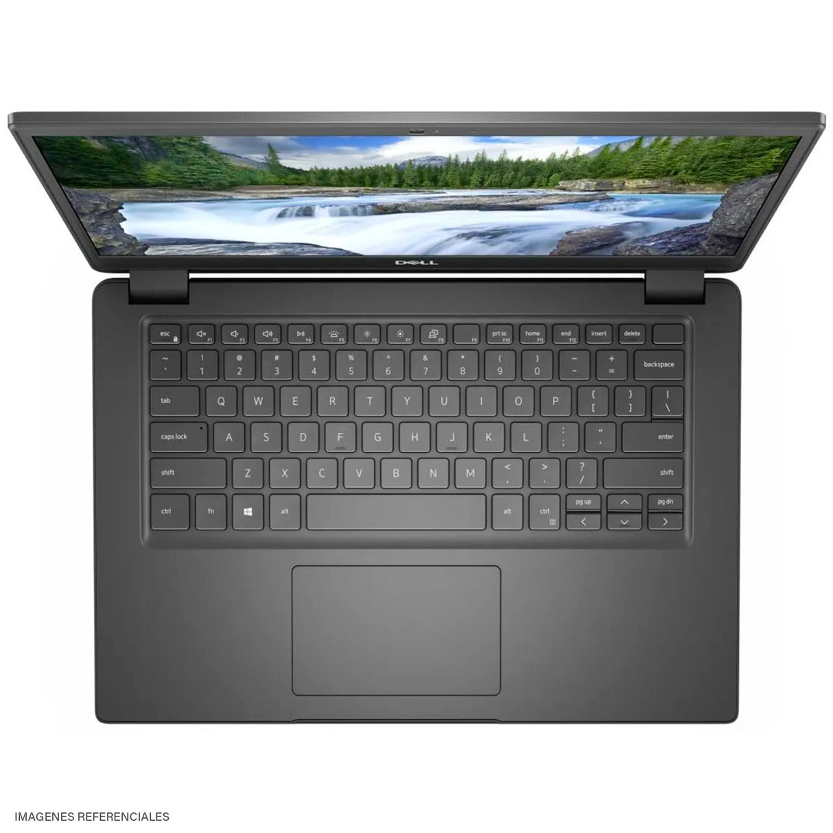 Laptop Dell Latitude 3410 Intel Core i5-10210U RAM 8GB Disco 256GB SSD 14" HD FreeDOS