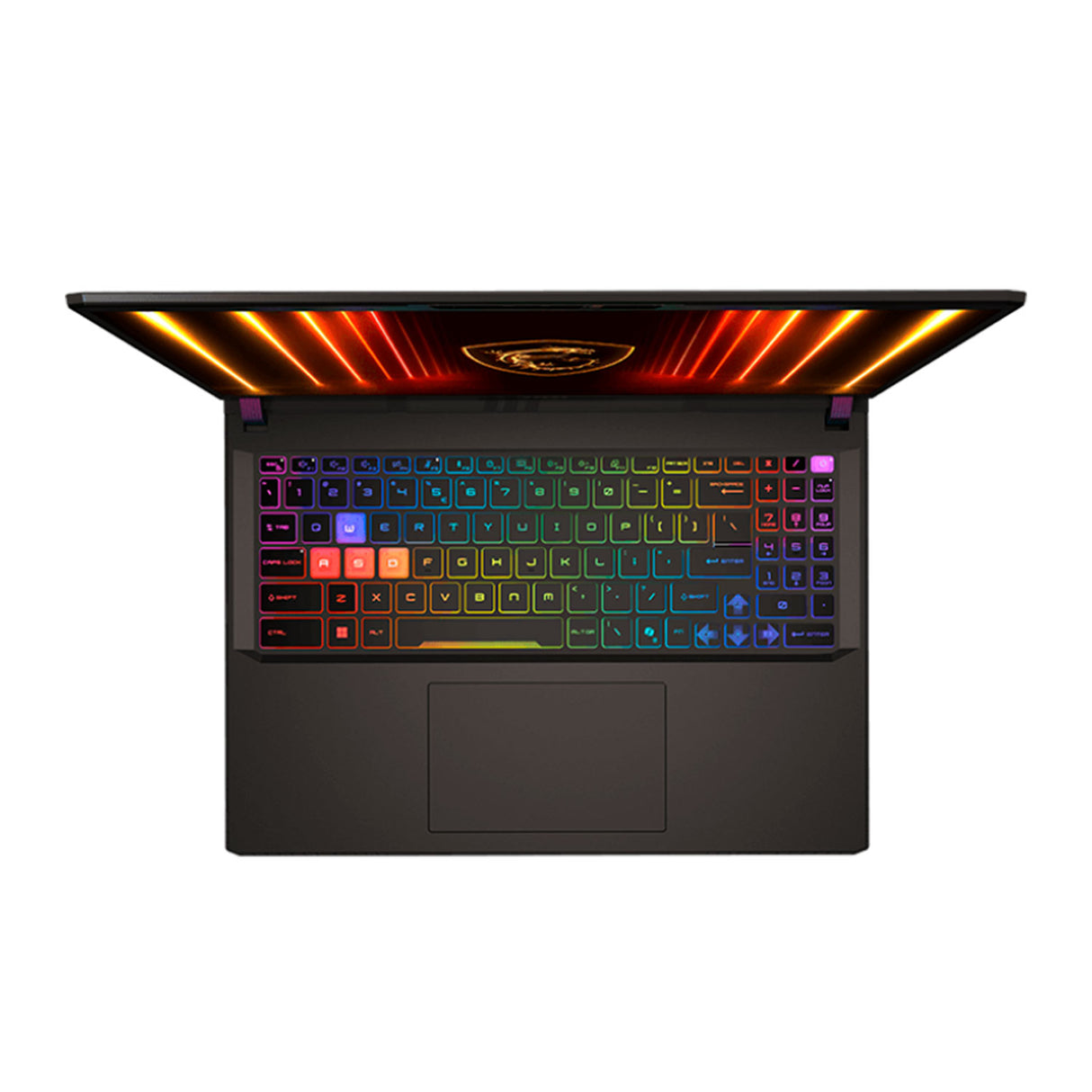 Laptop Gamer MSI Vector 16HX AI A2XWIG-084PE Intel Core Ultra 9 275HX Ram 16GB Disco 1TB SSD Video Nvidia RTX 5080 16GB 16" WQXGA Windows 11 (9S7-15M352-084)