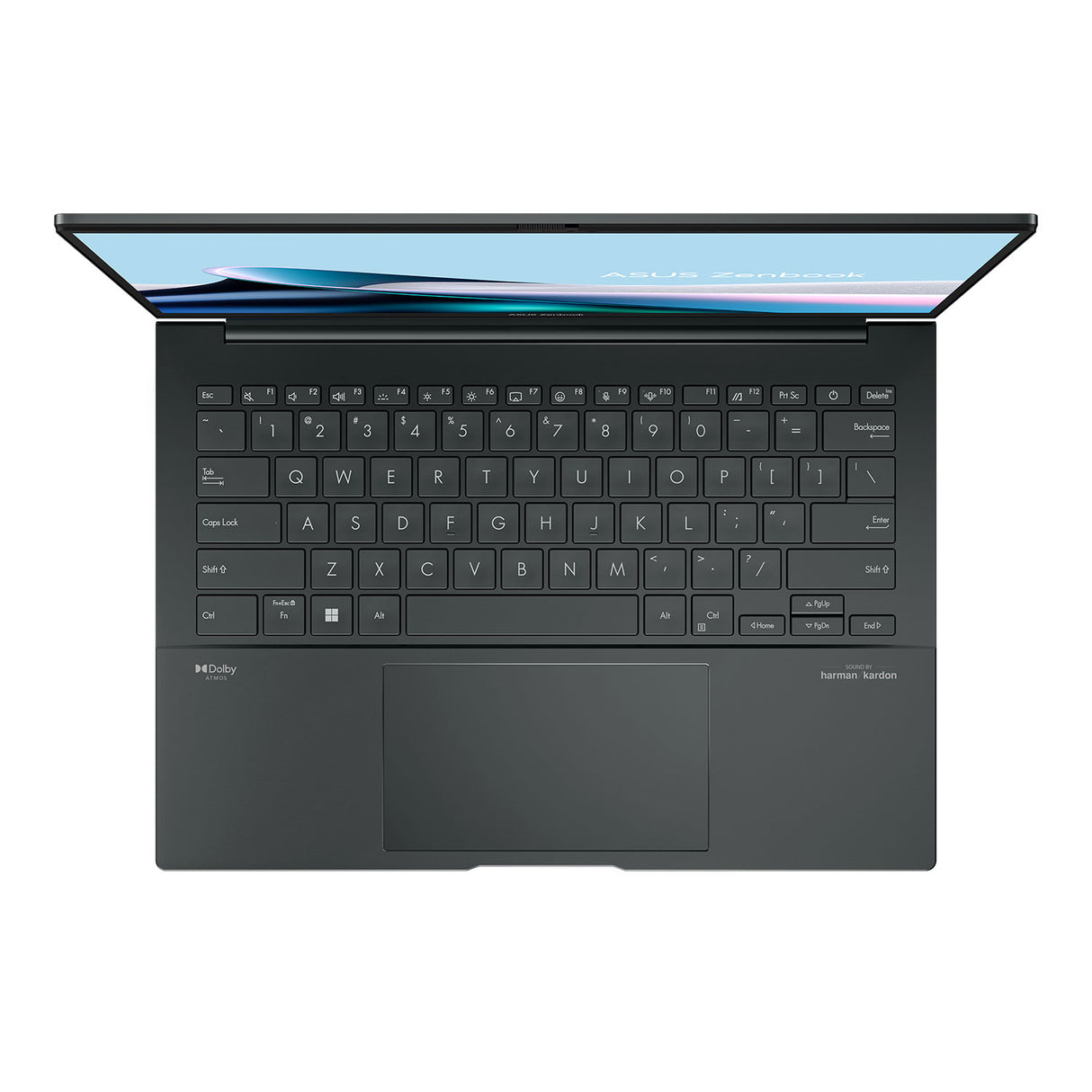 Laptop Asus Zenbook Q415MA-U5512 Intel Ultra 5 125H Ram 8GB Disco 512GB SSD 14" WUXGA Windows 11 (90NB11R7-M00H00)