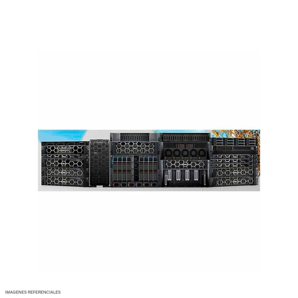 Servidor Dell PowerEdge T160 Intel Xeon 6315P 16GB RAM 2TB HDD T160263-6315P2