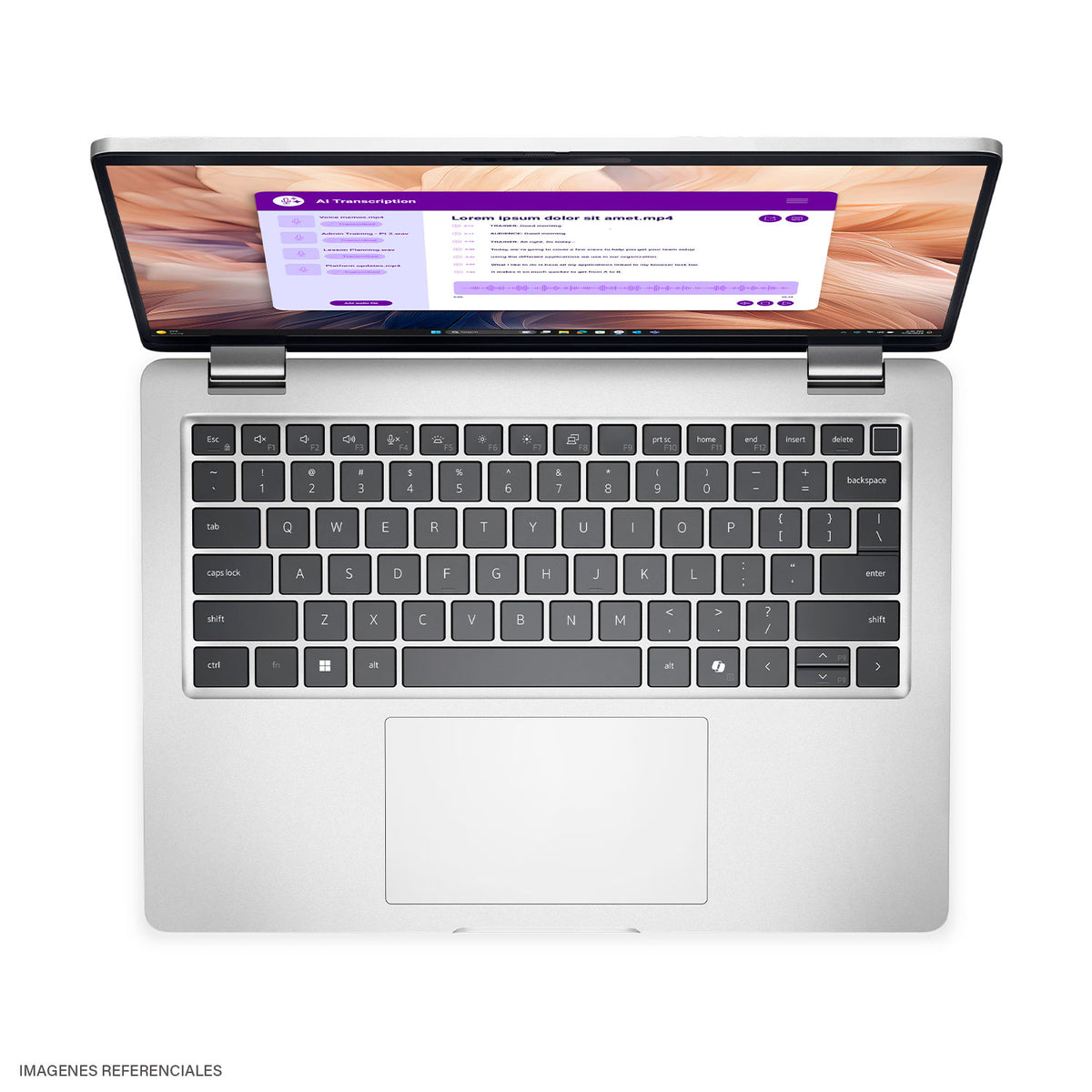 Laptop Dell Pro 14 Plus PB14250 Intel Core Ultra 7 266V Ram 16GB Disco 512GB SSD 14" WUXGA Windows 11 Pro Silver (4P1FT)